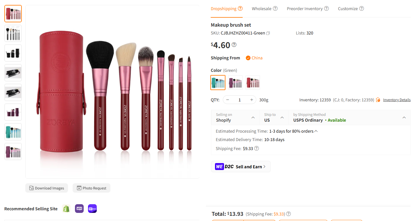 Makeup Brush Set
